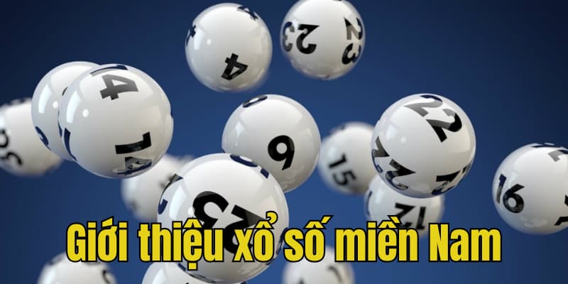 Giới thiệu hình thức giải trí xổ số miền Nam 789Win